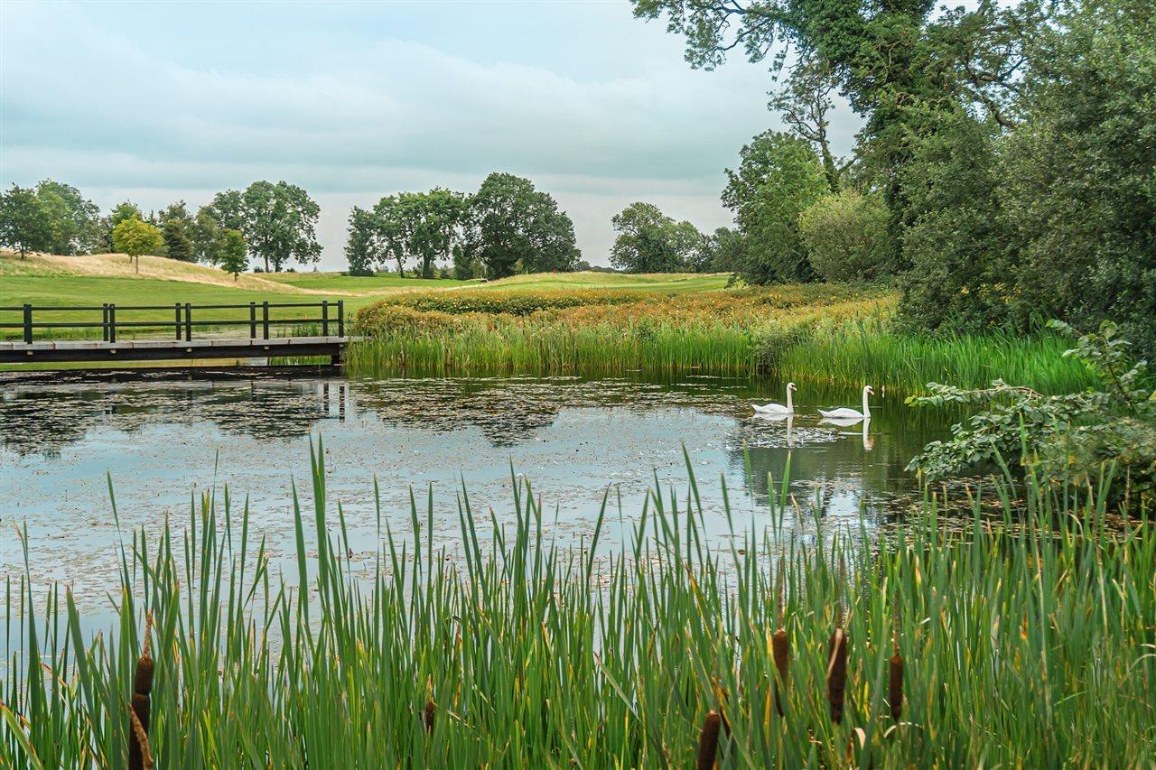 Knightsbrook & Golf Hotel 4*